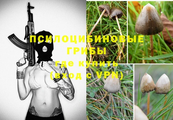 прущие крисы Коряжма