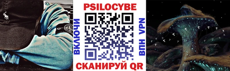 Псилоцибиновые грибы Cubensis  Купить  Суровикино 